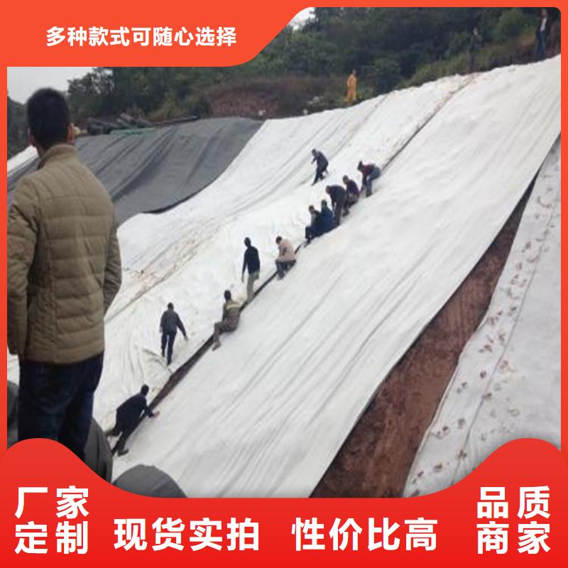 膨润土防水毯-聚丙烯长丝土工布一个起售