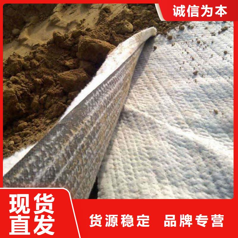 膨润土防水毯土工膜精选厂家好货