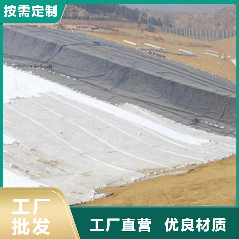 膨润土防水毯防渗膜高品质现货销售
