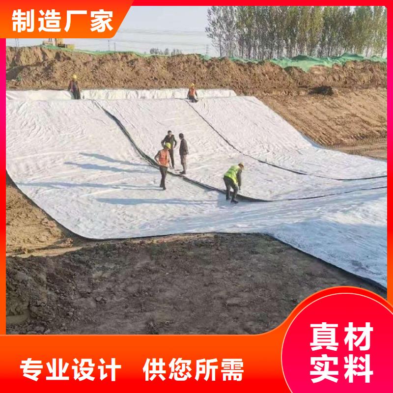膨润土防水毯防渗膜高品质现货销售