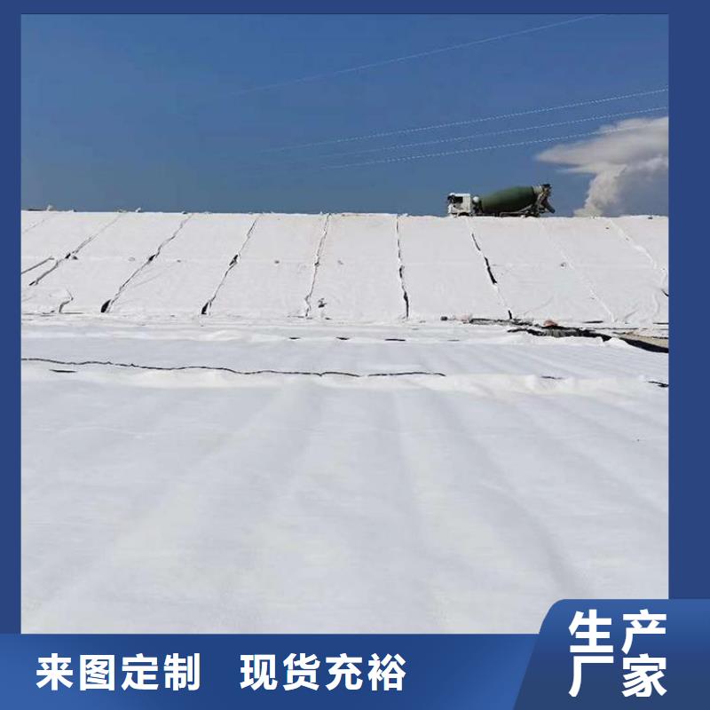 膨润土防水毯土工膜精选厂家好货