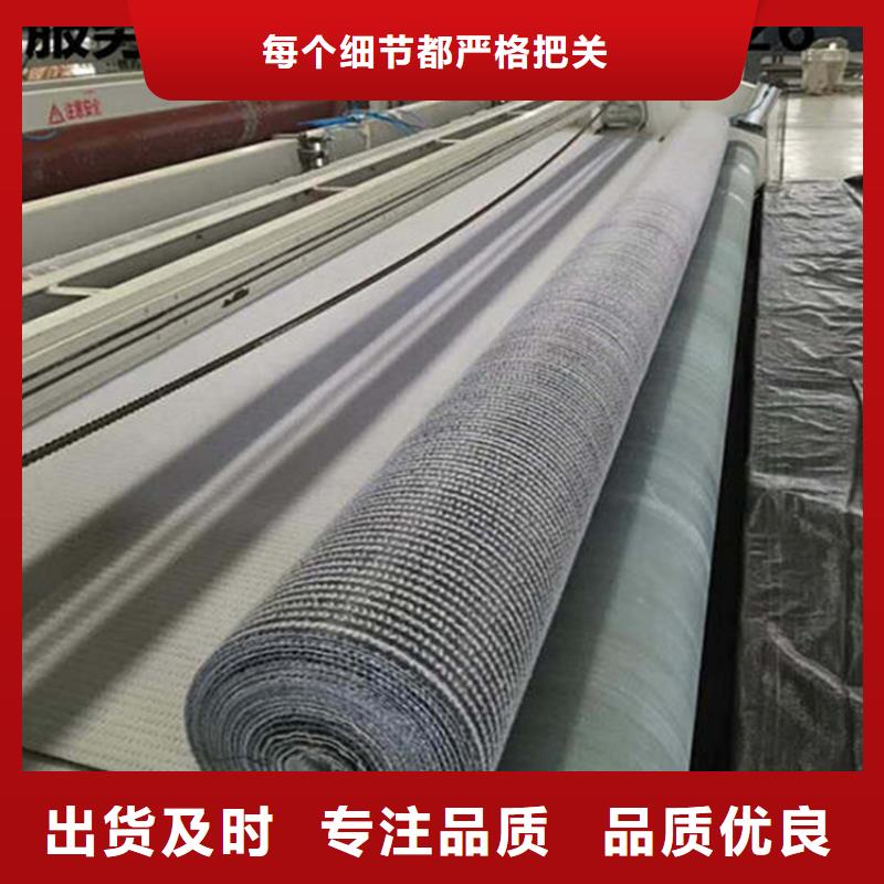 膨润土防水毯,土工膜好品质用的放心