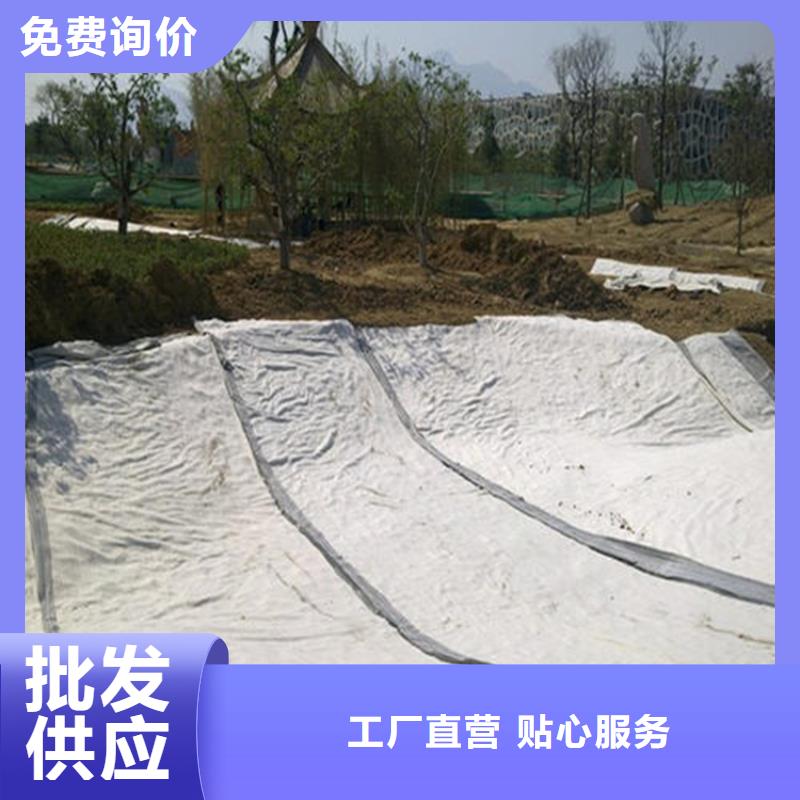 膨润土防水毯土工膜精选厂家好货