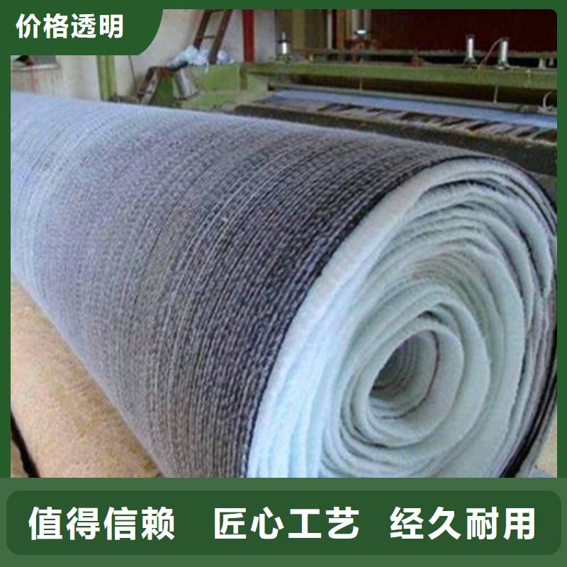 膨润土防水毯土工膜精选厂家好货