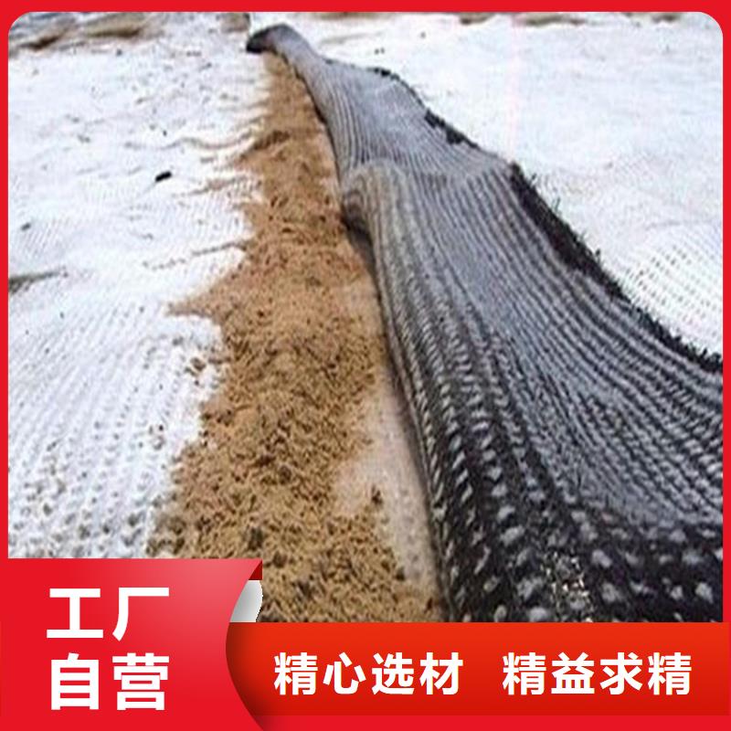 膨润土防水毯土工膜精选厂家好货