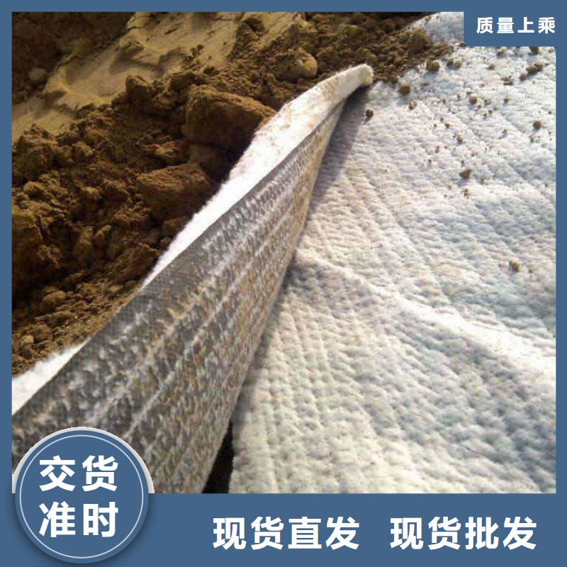 膨润土防水毯土工膜精选厂家好货