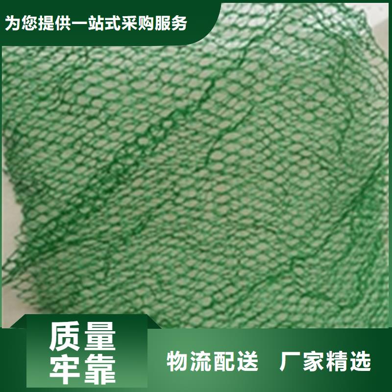三维植被网土工膜工厂价格