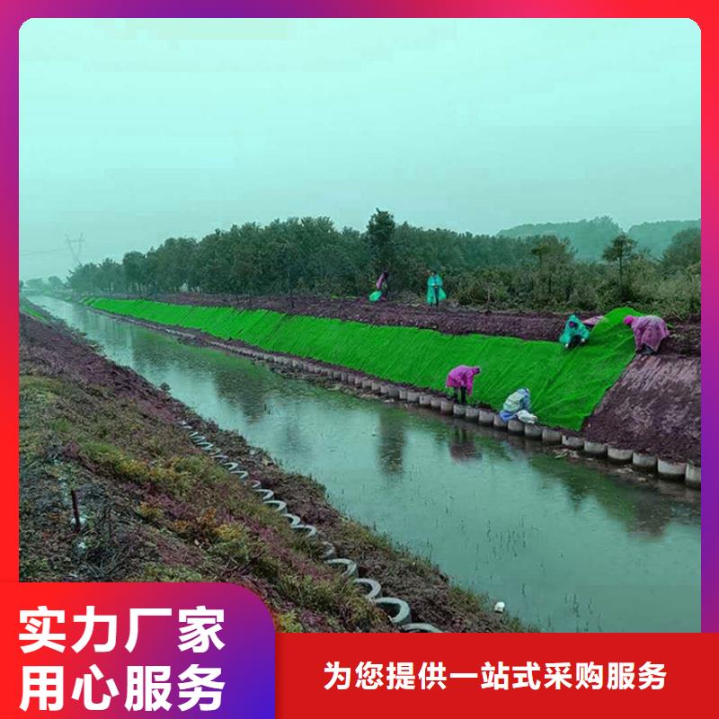 三维植被网防渗膜实体厂家支持定制