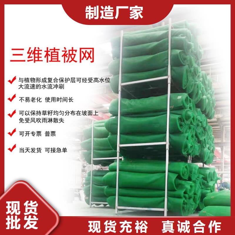 三维植被网土工布客户信赖的厂家