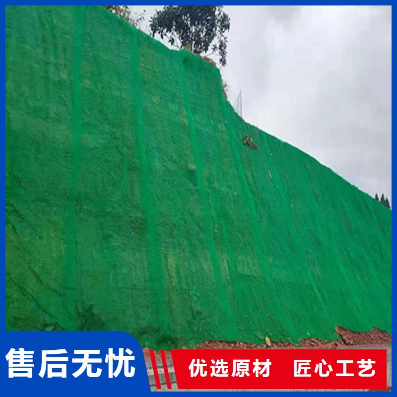 三维植被网土工膜工厂价格