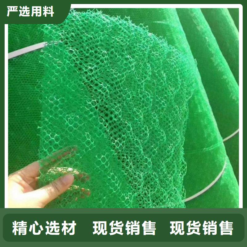 三维植被网_防水板厂家型号齐全