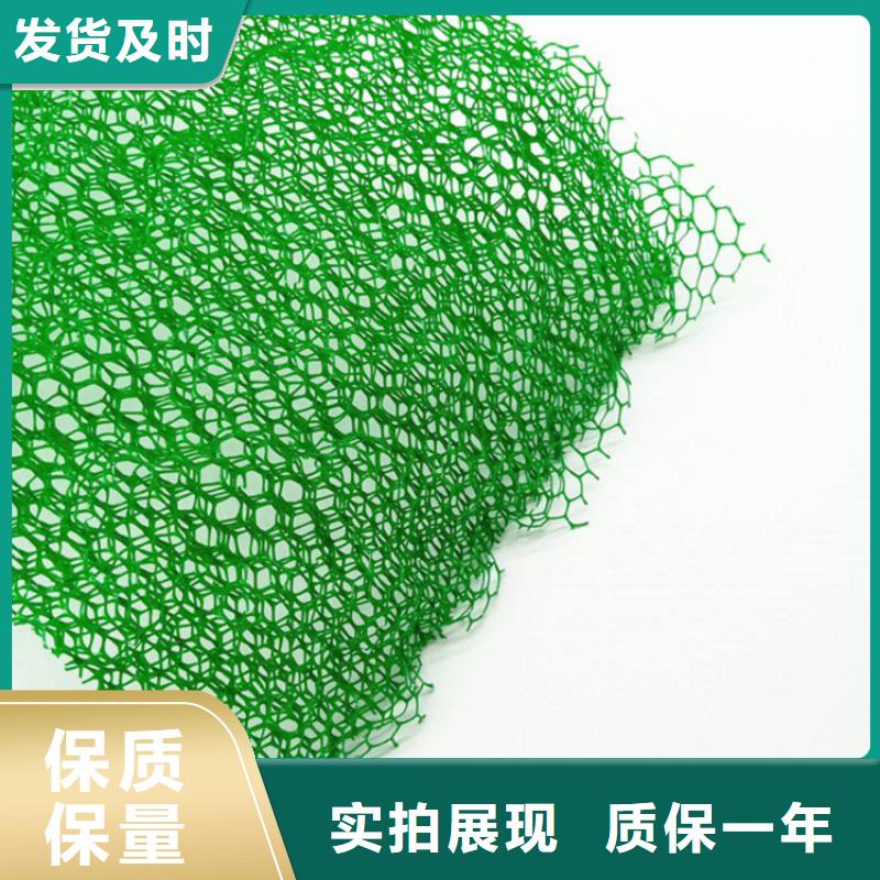 【三维植被网土工布品质保障价格合理】