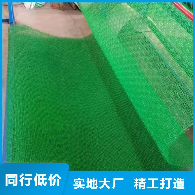 三维植被网防水毯买的放心