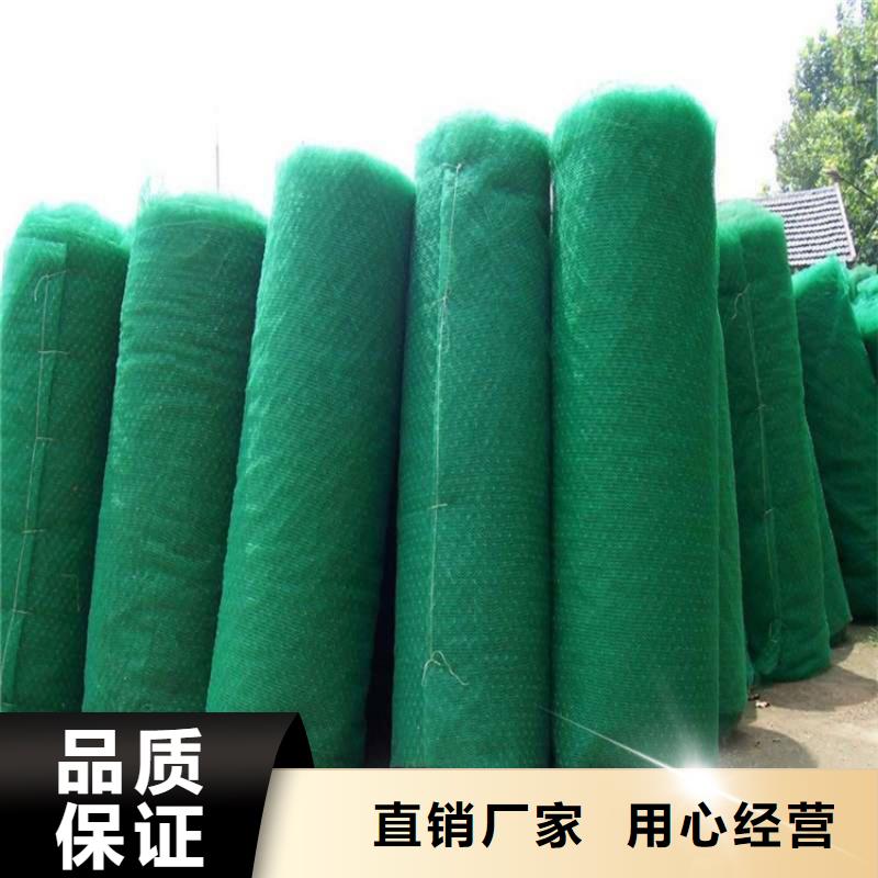 三维植被网土工布客户信赖的厂家