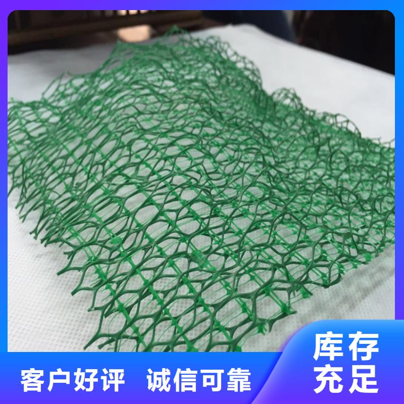 三维植被网土工膜工厂价格