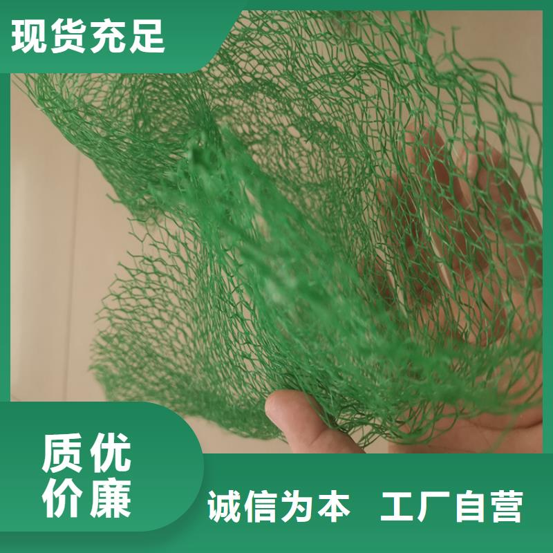 三维植被网防水毯买的放心
