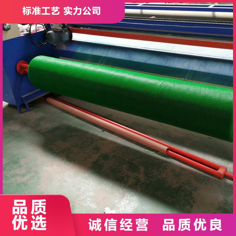 三维植被网膨润土防水毯适用范围广