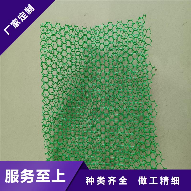 三维植被网_防水板厂家型号齐全