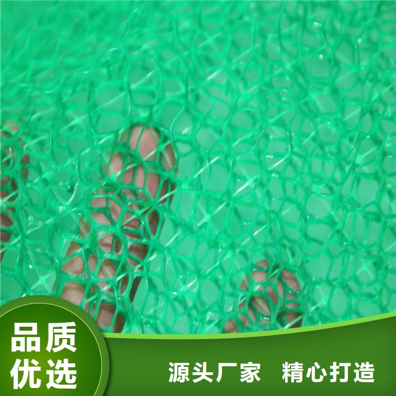三维植被网_防水板厂家型号齐全