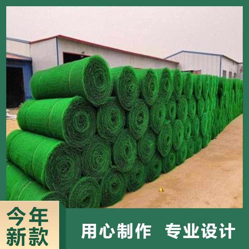 三维植被网土工布客户信赖的厂家