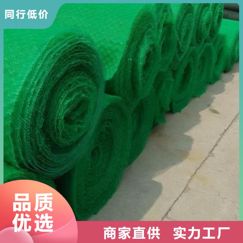 三维植被网土工布客户信赖的厂家