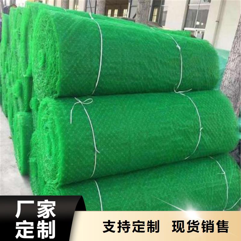 三维植被网土工布客户信赖的厂家