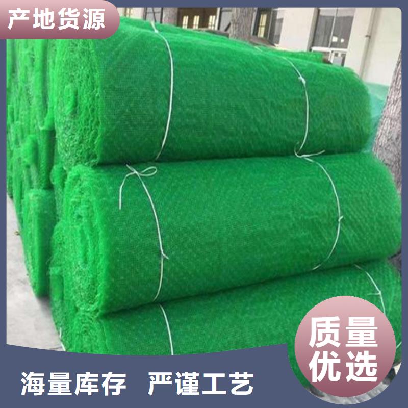 三维植被网土工膜工厂价格