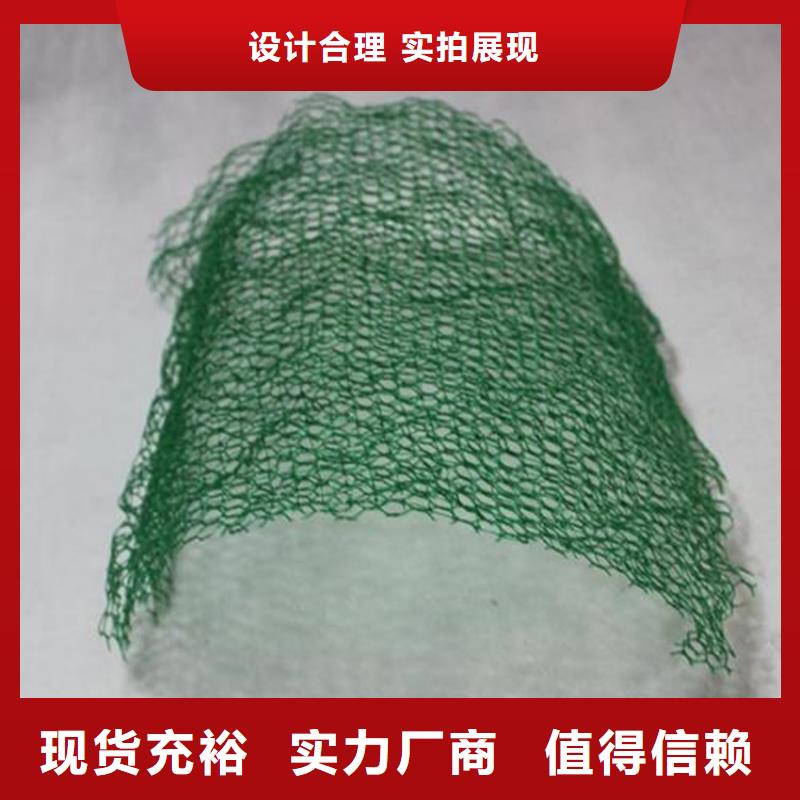 三维植被网土工膜工厂价格