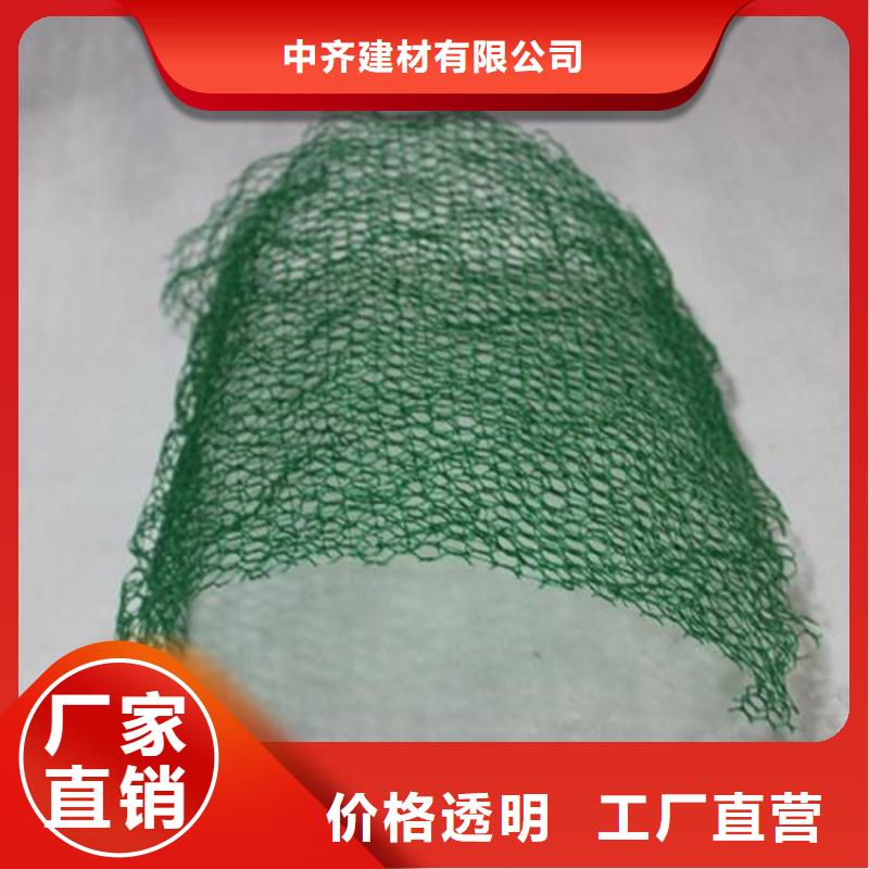 三维植被网土工布客户信赖的厂家