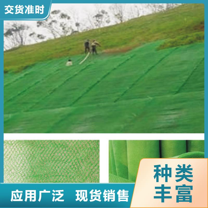 三维植被网土工膜工厂价格