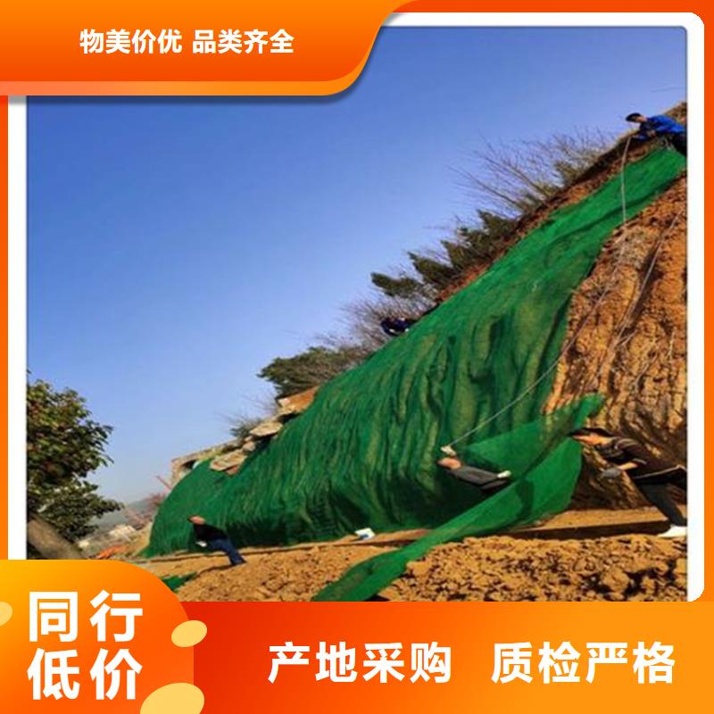 三维植被网土工布客户信赖的厂家