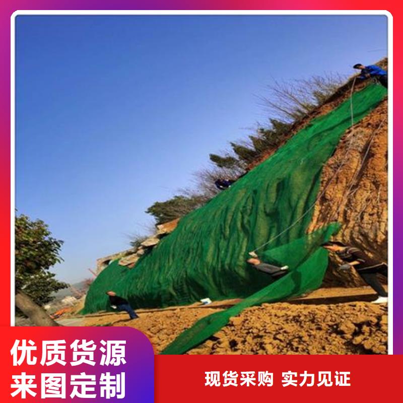三维植被网双向塑料土工格栅质量牢靠