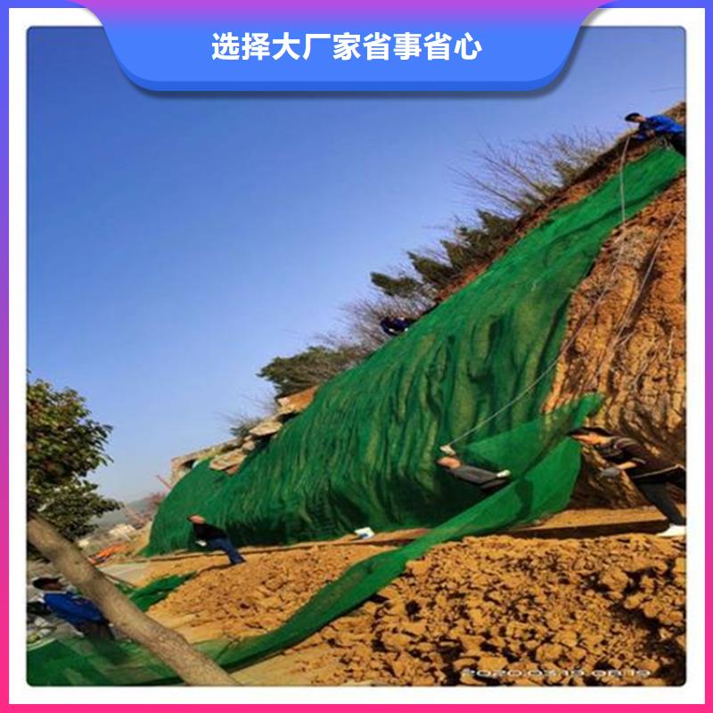 三维植被网土工膜工厂价格