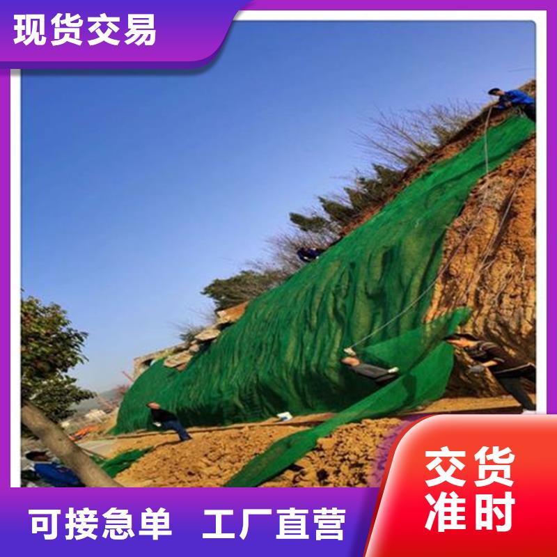 三维植被网土工布客户信赖的厂家