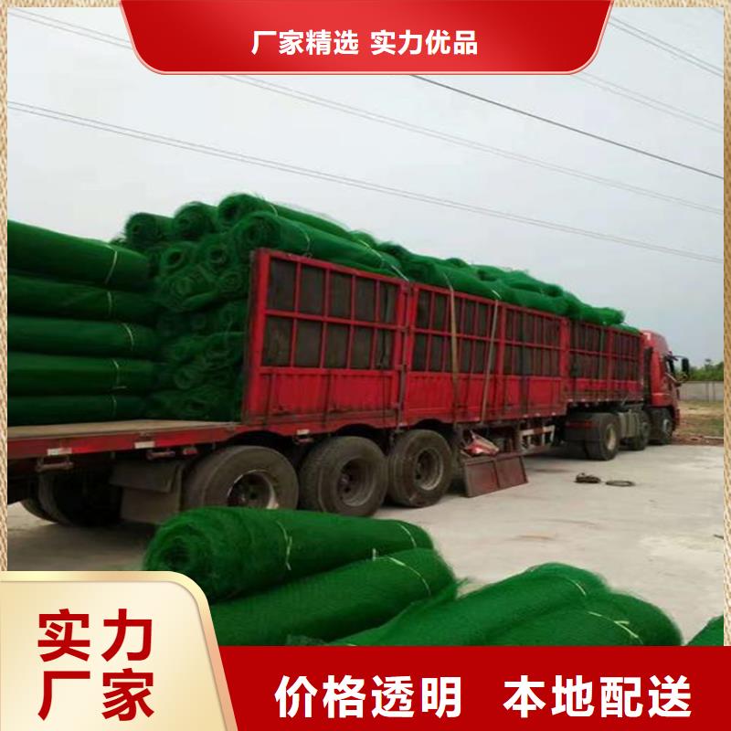三维植被网土工布客户信赖的厂家