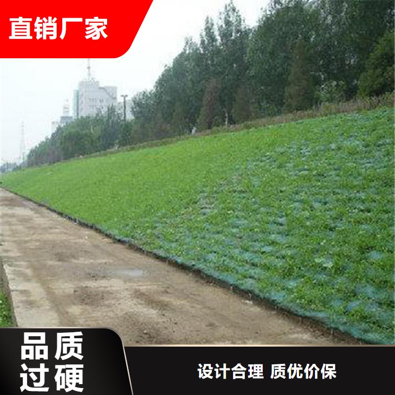 三维植被网土工布客户信赖的厂家
