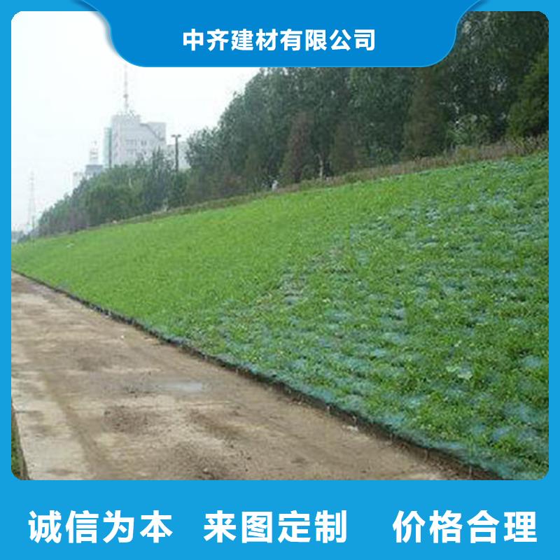 三维植被网土工膜工厂价格