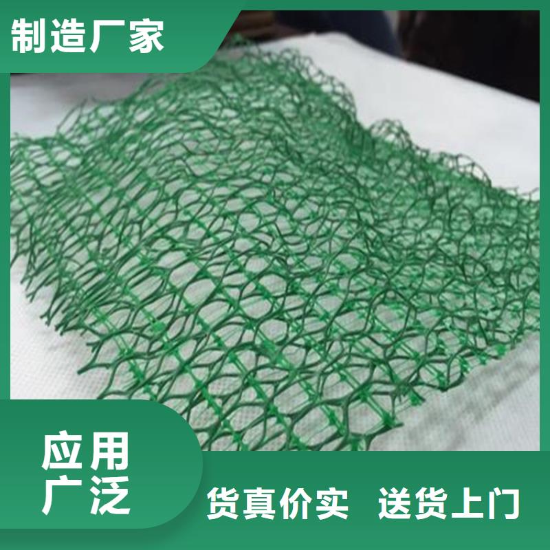 三维植被网土工布客户信赖的厂家