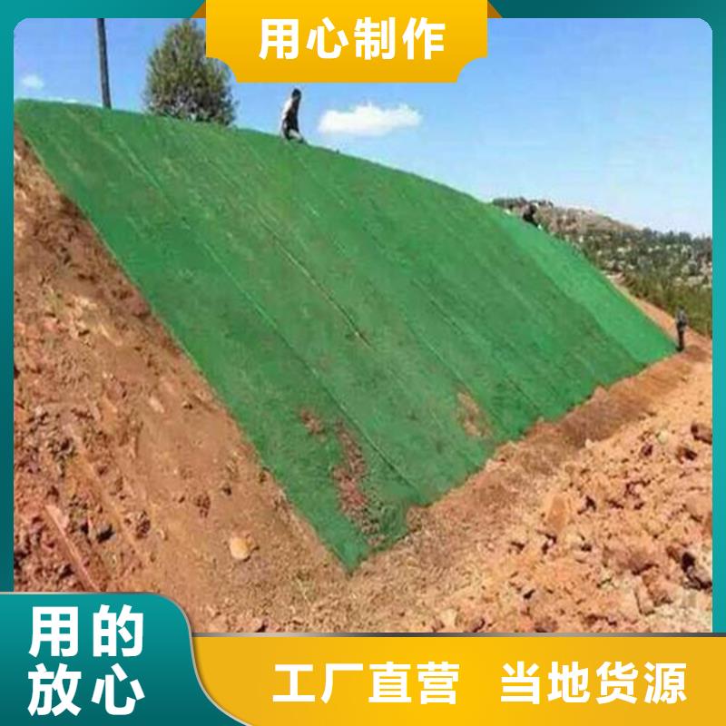 三维植被网防水毯买的放心