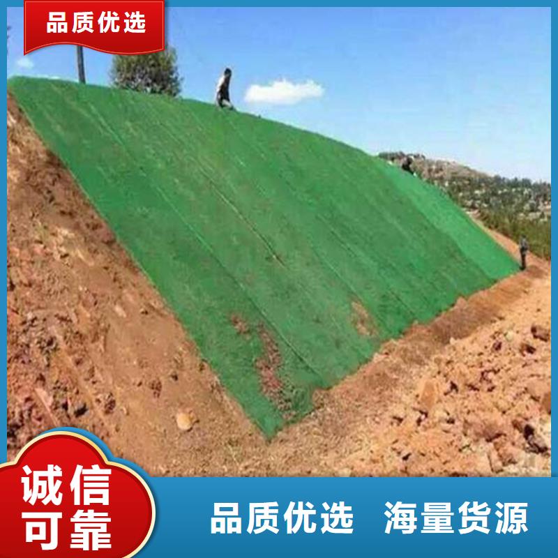 三维植被网土工布客户信赖的厂家