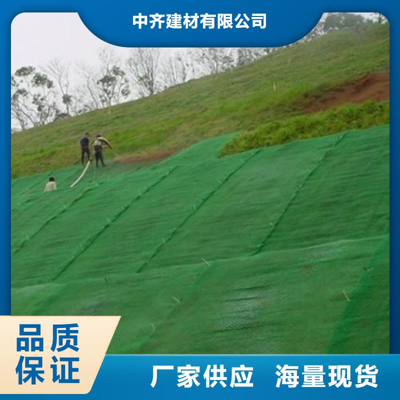 三维植被网土工膜工厂价格
