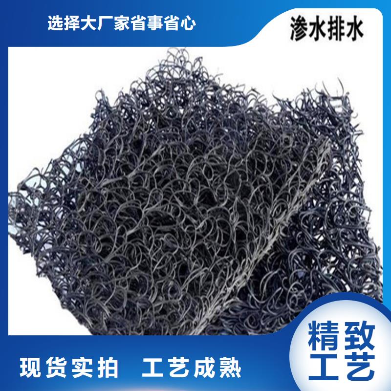 【土工席垫三维植被网真材实料诚信经营】