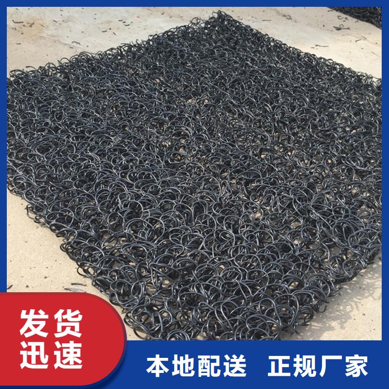 【土工席垫三维植被网真材实料诚信经营】