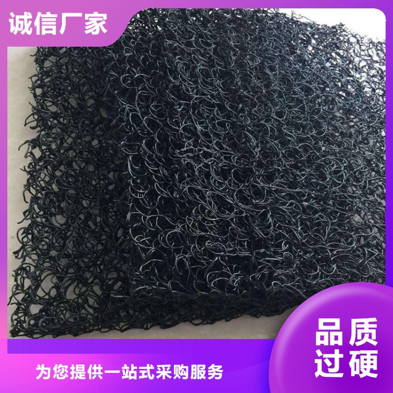 土工席垫-三维植被网精工制作