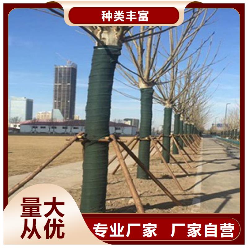 【裹树布土工布免费安装】