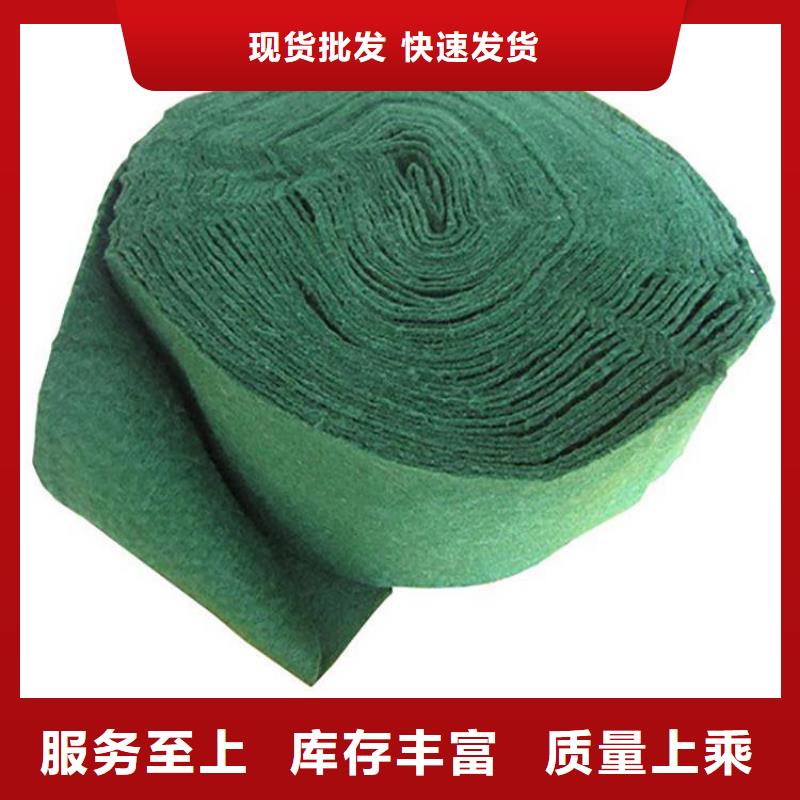 裹树布-三维植被网24小时下单发货