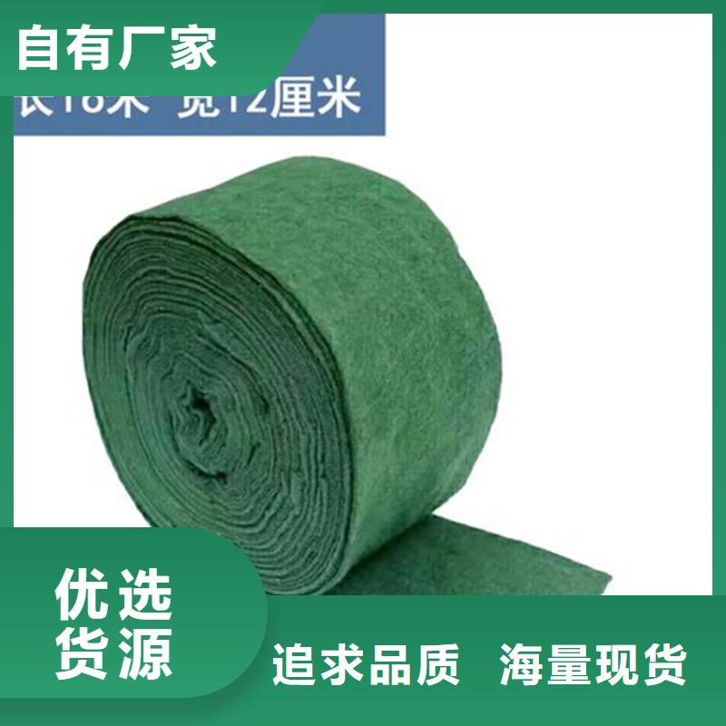裹树布-三维植被网24小时下单发货