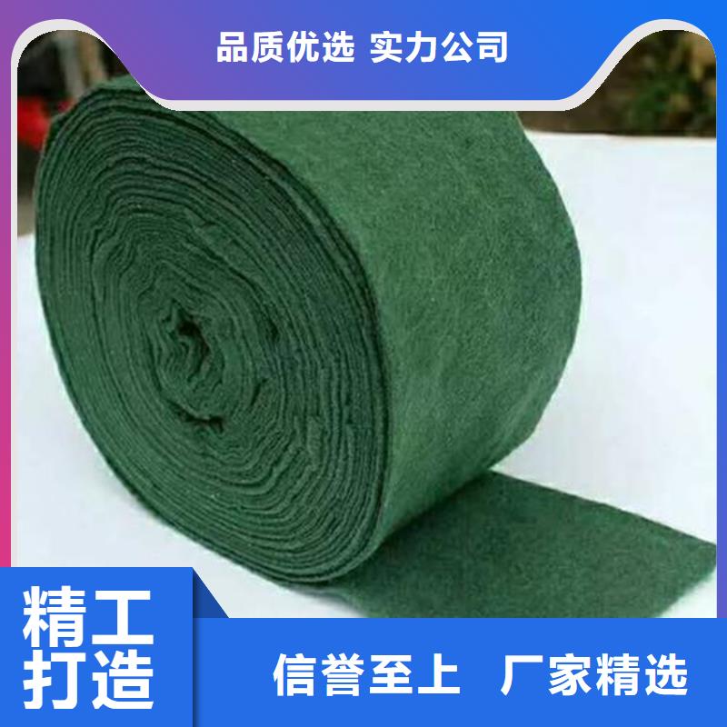 裹树布-双向塑料土工格栅追求细节品质
