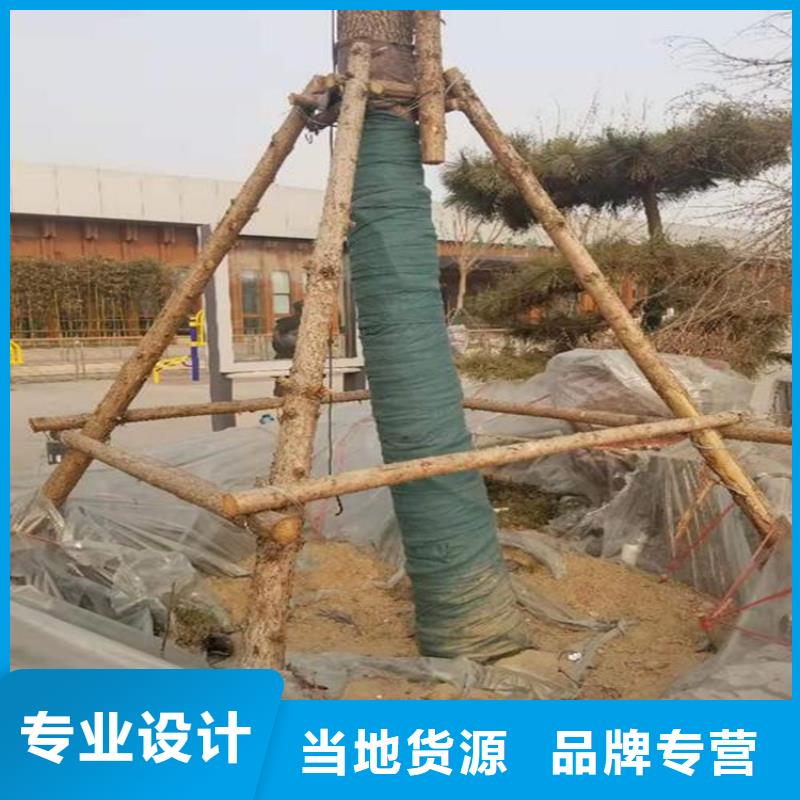 裹树布-双向塑料土工格栅追求细节品质