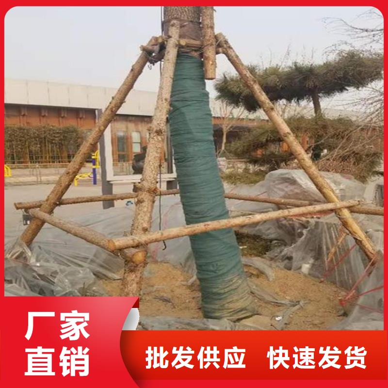 【裹树布土工布免费安装】